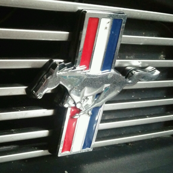 Meet your Posher, William - Picture 1 of 1